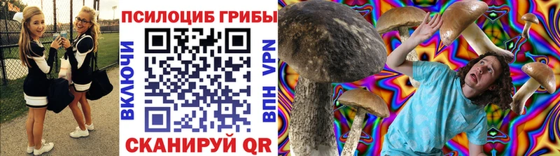 Галлюциногенные грибы GOLDEN TEACHER  Купить где  Сорск 