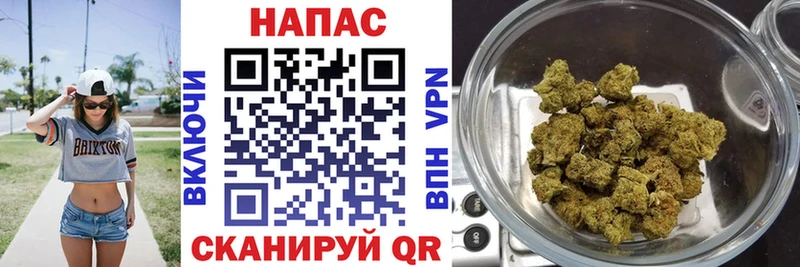 Бошки марихуана планчик  Купить закладки  Сорск 